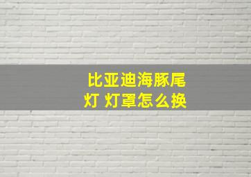 比亚迪海豚尾灯 灯罩怎么换